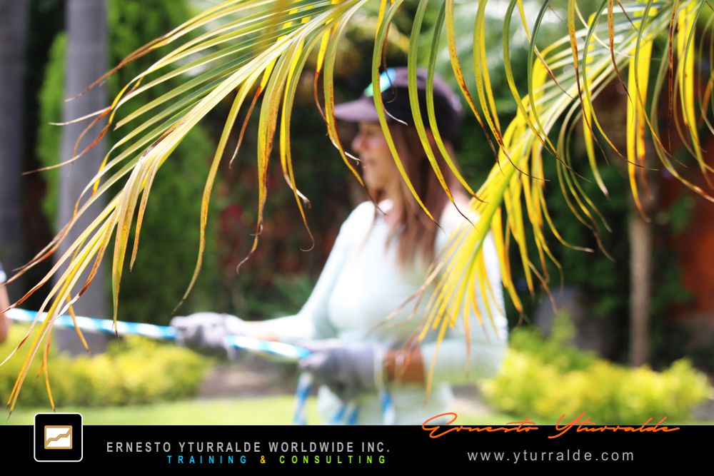 Team Performance - Talleres Vivenciales | Dinámicas de Grupos y Actividades para Team Building Empresarial